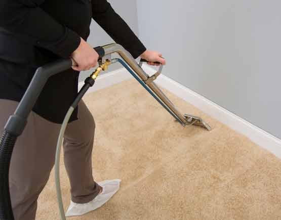 Professional Carpet Cleaning Camberwell
